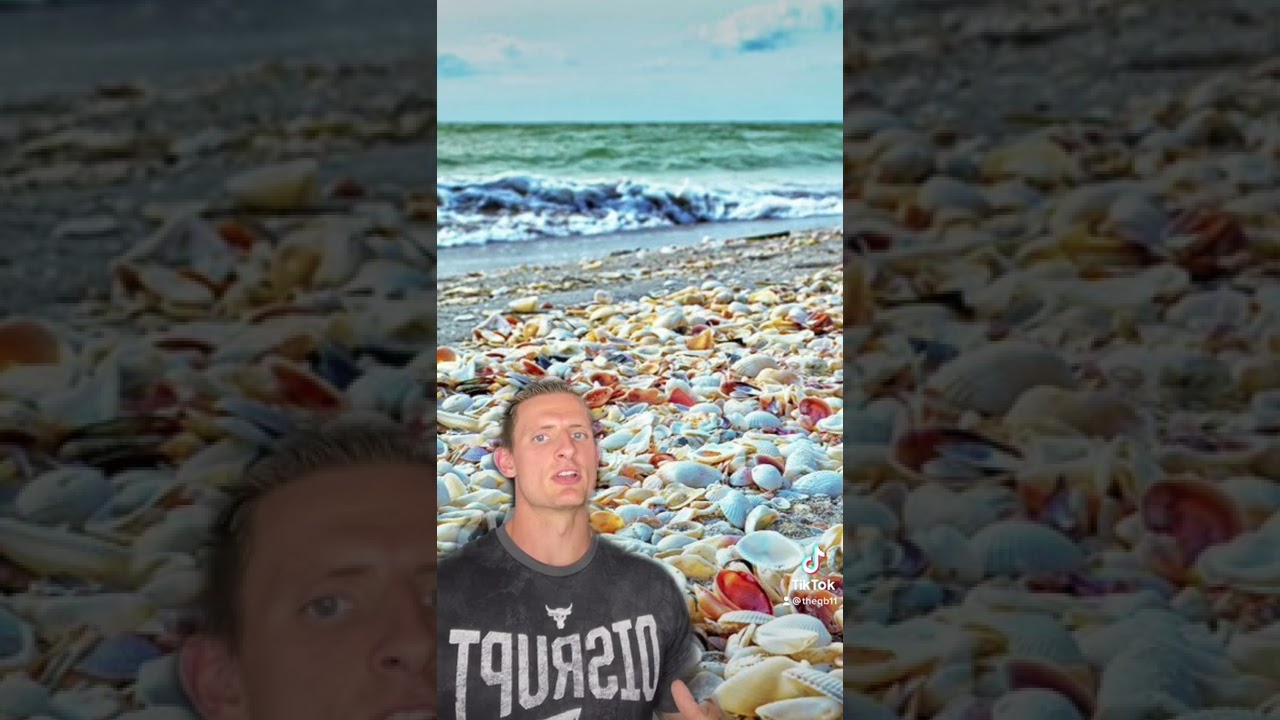 Sanibel Island and Captiva Island, Florida - Things to Do and See When You Visit