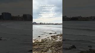 Психология эмиграции #эмиграция #психология #испания