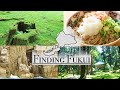 Finding Fukui / Tourist Spots in Fukui Prefecture
