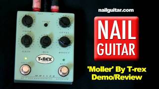 ギター T-Rex Moller mqdefault.jpg