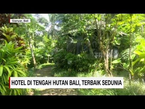 Video: Villa Chameleon: Rumah Liburan Yang Menghilang Di Hutan Bali