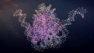 Multi Scale Modeling of Chromatin and Nucleosomes