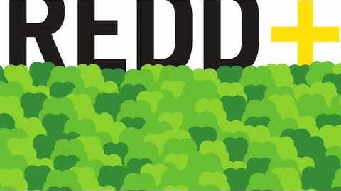 Introduction to REDD