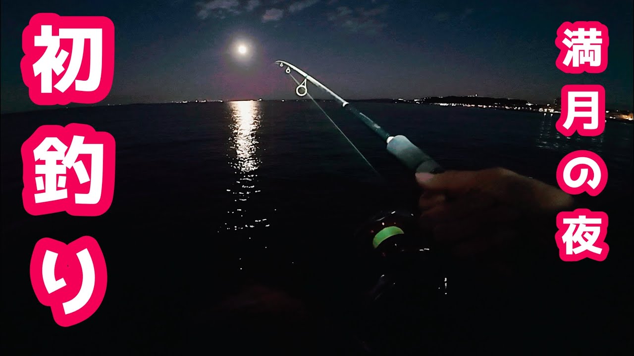 【釣り】元旦は凶！初釣りはどうなった？！【横須賀】