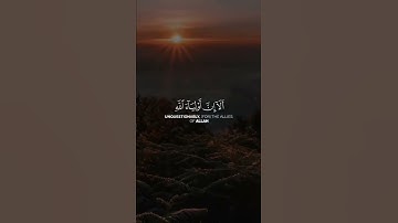 تلاوة من سورة يونس القارئ محمد البارقي