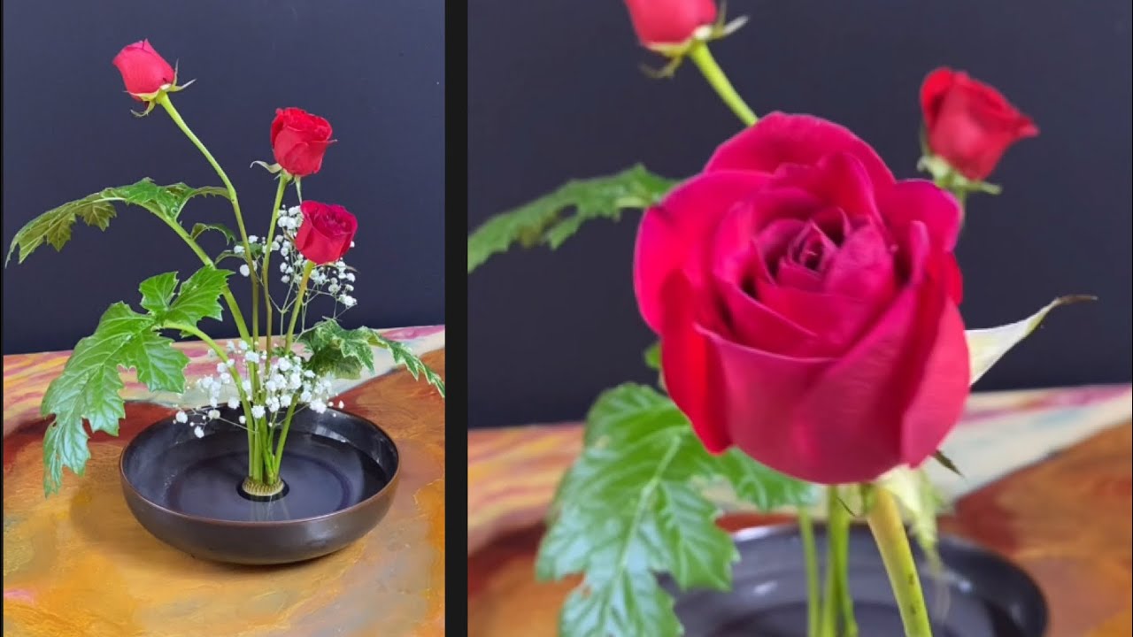 How To Arragered Roses 40 ๐ Romantic Fusion: A Step-by-Step Guide on How to Arrange Red Roses ...