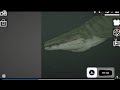 Ghost face video melon sand box