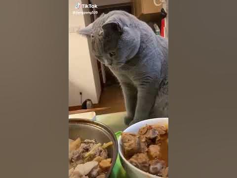 ну малой дает