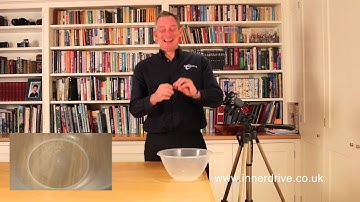 The Coin Toss Prediction - The Reality