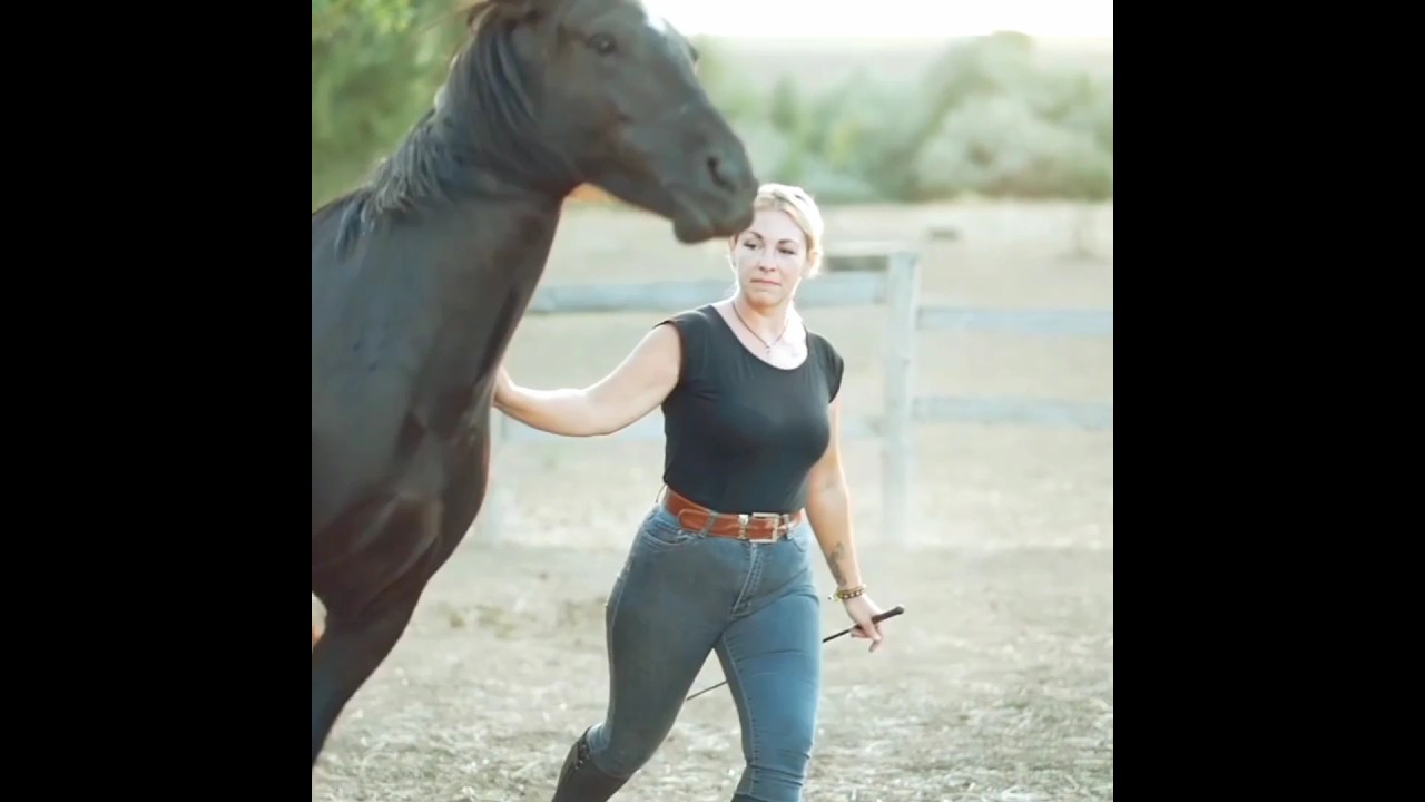 horse stunt performing video with lady must watch 