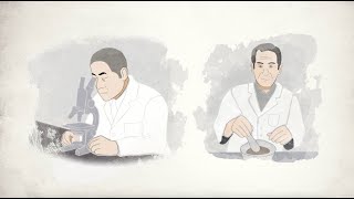 タケダ薬品工業（株）創業180周年時す　 1961年発行 ブロンズメダル 2025年最新】Yahoo!オークション -武田薬品(アンティーク