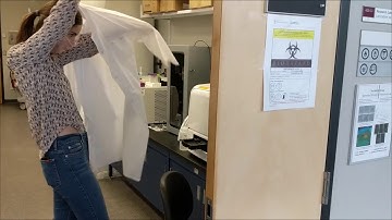 A quick tour on some Concordia biology laboratories and equipment   SciComm