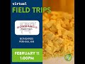 Virtual Field Trip to Bongards Creamery