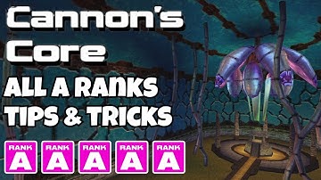 Cannons Core A Rank Tips and Tricks! | Sonic Adventure 2