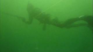 Spearfish North Coast 2011.wmv