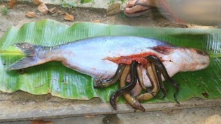 Wow! Real 100% Eels In Big Fish Stomach and then Cooking Eels For Dinner