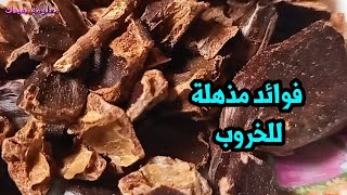 فوائد الخروب للهضم واكثر من عشرة فوائد صحية فى الخروب !!!