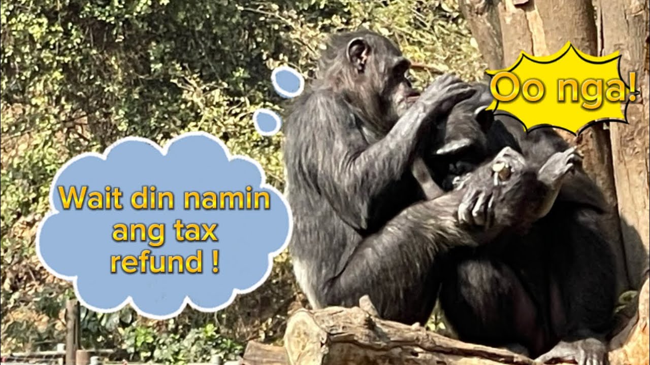 Migrant workers Taiwan Tax Refund na ! YouTube