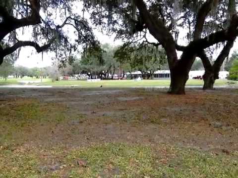 5131 JO St, Zephyrhills, FL home video tour