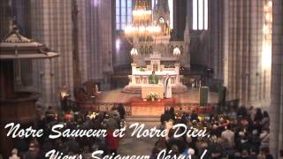 Video thumbnail of "Anamnese Messe du Peuple de Dieu - Basse"