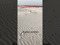 Ganga River Sand View #ganga #bihar #sand #views #riverfront #viral #trending #shorts