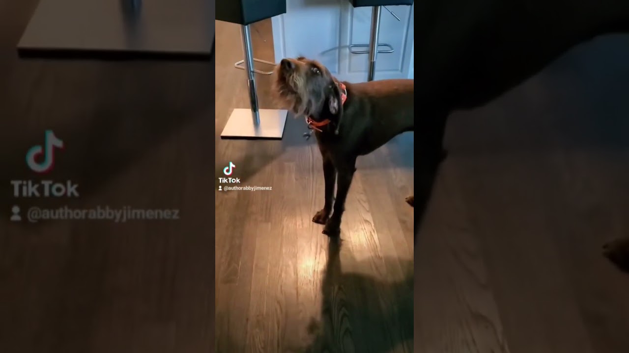 Stuntman Mike gets lost