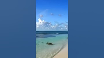 تلاوةخاشعة(وَيَوْمَ يَعَضُّ ٱلظَّالِمُ عَلَىٰ يَدَيْهِ يَقُولُ يَٰلَيْتَنِى)الشيخ ياسر الدوسري