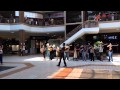 Mariachi Nuevo Santander Mall Flash Mob