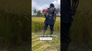 MASHINE YA KUKATA NYASI