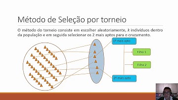 Aula 08 - Torneio, elitismo, cruzamento em dois pontos e problemas com mais de uma variável