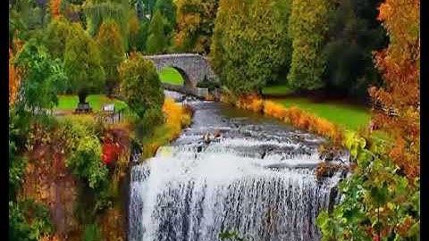 الشيخ نعمة الحسان سورة الانفال