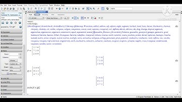 Penggunaan Aplikasi Maple 18 pada Materi Matriks | Program Komputer