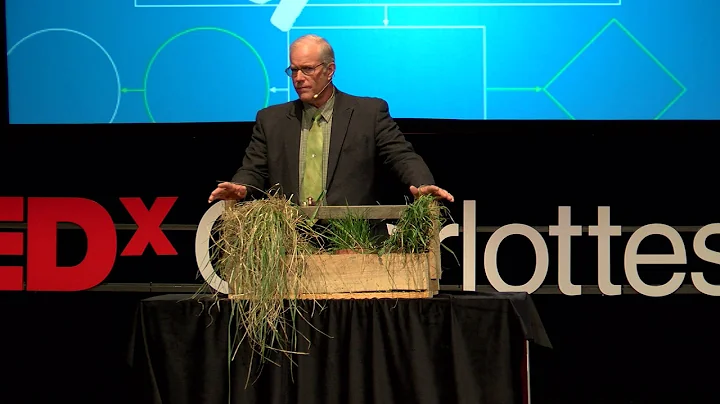 Cows, Carbon and Climate | Joel Salatin | TEDxCharlottesville - DayDayNews