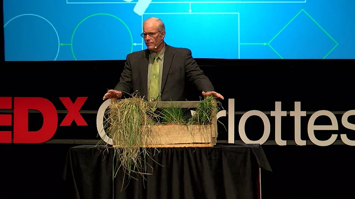 Cows, Carbon and Climate | Joel Salatin | TEDxChar...