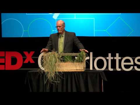 البقر و الكربون و المناخ | جول سالاتين | تيد اكس شارلوتسفيل