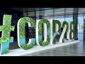 Who are the main players at COP28?