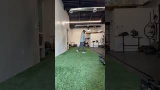 Weighted Split Squat Jump w/ Double Leg Landing