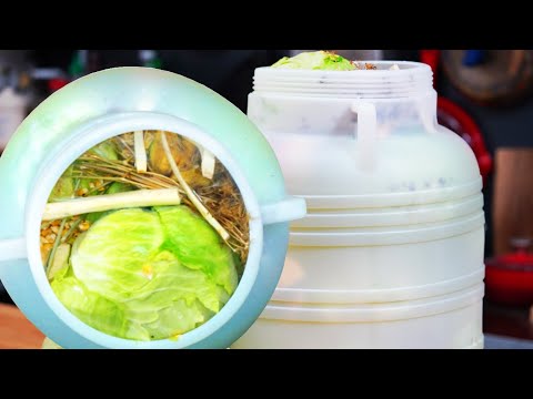 Video: Sare varză pentru iarnă într-o găleată pentru a o face crocantă