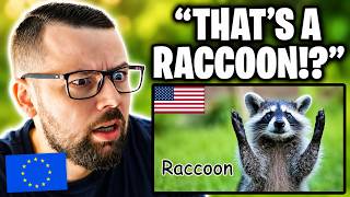 European Reacts to Animals of America! Hearing Animal Sounds for the First Time