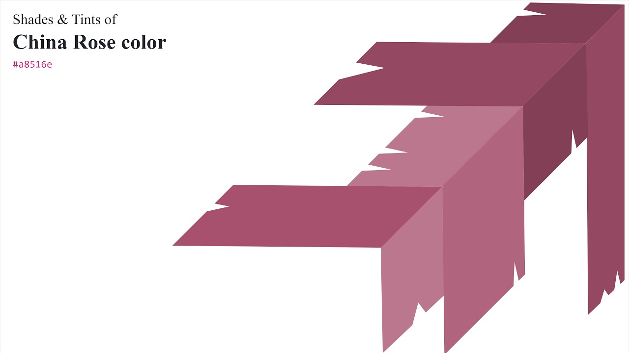 Shades & Tints of China Rose color 