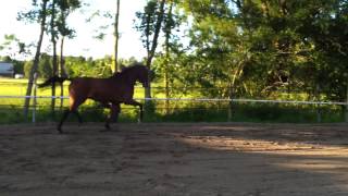 Nick En Jort In Opleiding Bij Minne