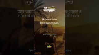 সূরা মারইয়াম (১১-১৬) আয়াত  Maryam سورة مريم ❤ Qari shakir qasmi  ▶mahfuz art of nature