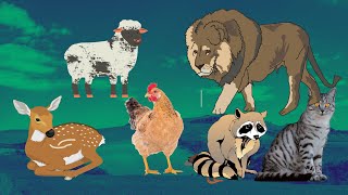 BINATANG DAN SUARA HEWAN AYAM KUCING SINGA BERUANG KAMBING KIJANG #hewan  #hewannoise#suarahewan