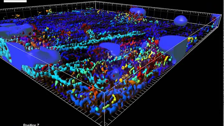 mitotracker cgnps 1516 05 SIR ALX