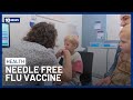 New Nasal Spray Flu Vaccine Targets Kids Afraid Of Needles | 10 News
