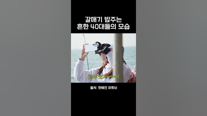 갈매기 밥주는 흔한 40대들의 모습