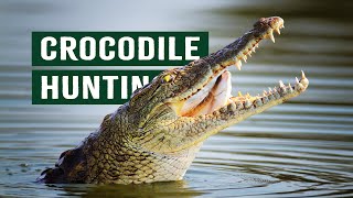 Deadly Crocodiles Battle Defenceless Prey For Survival | Crocodile Island