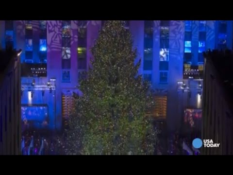 rockefeller-center-christmas-tree-lifted-into-place