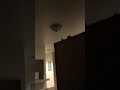 Army wtf moments in the barracks