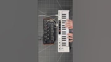 B&H Synth Lab: Moog Spectravox Demo 🎹🔊